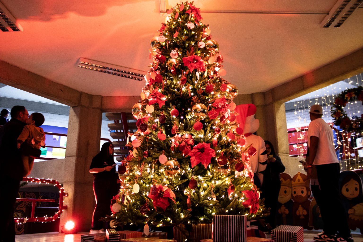 Arbol con luces rojas, en el primer hexagono de la umad